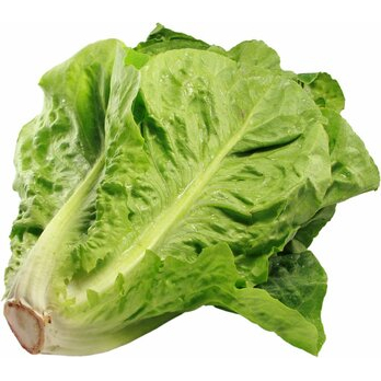 Salatherzen Romana