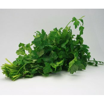 Petersilie glatt