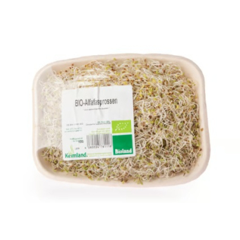 Alfalfa-Sprossen