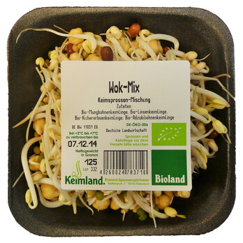 Wok-Sprossen-Mix