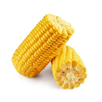 Zuckermais, 2 St., gek. vakuum