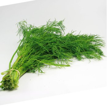 Dill