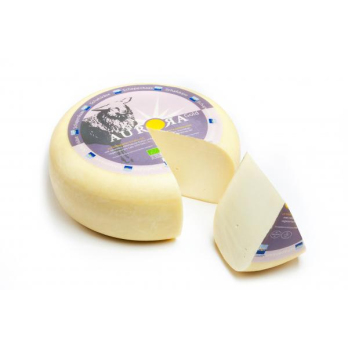 Schafgouda jung, SB vakuum
