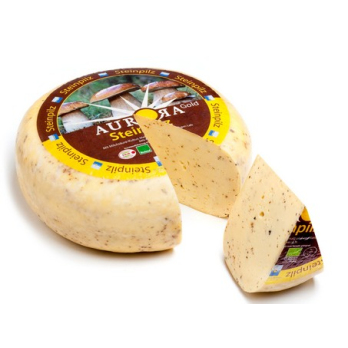Steinpilz Aurora Gold