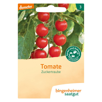 Cocktail Tomate Zuckertraube
