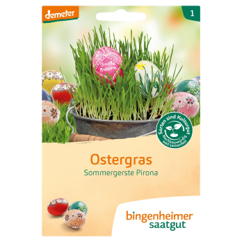 Ostergras- Sommergerste demeter 1 Stk