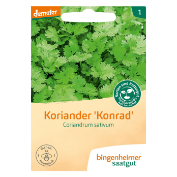 Koriander