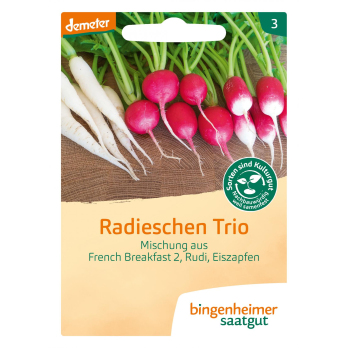 Radieschen Trio