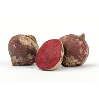 Rote Bete gek. (Vakuum)