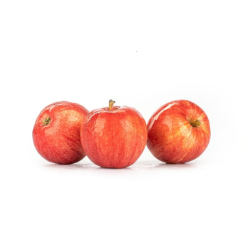 Apfel Gala - saftig süß