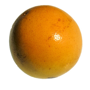 Grapefruit Star Ruby