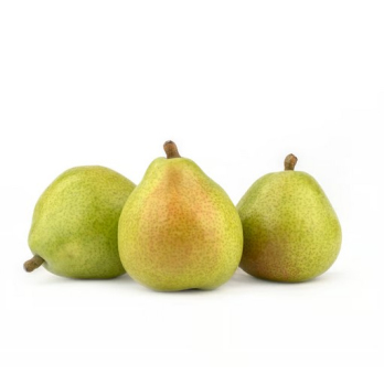 Birne D`Anjou