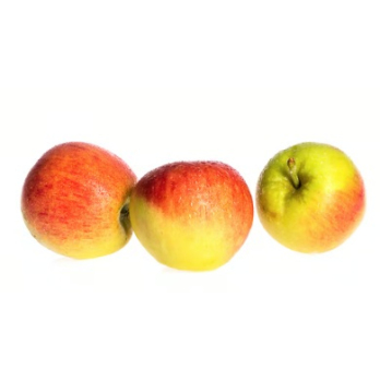 Apfel Zonga neue Ernte