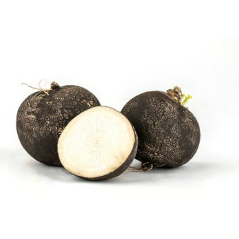 Rettich schwarz