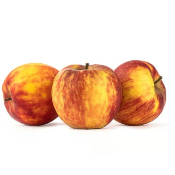Apfel Jonagored (groß)