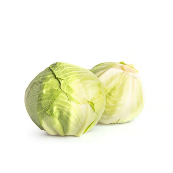 Früh-Weißkohl - Neue Ernte