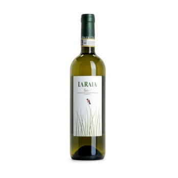 Gavi weiß
