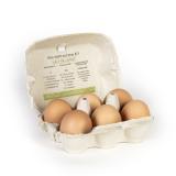 Eier 6er M/L