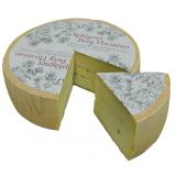 Splügner Bergthymian