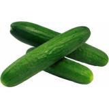 Mini-Gurke Snack