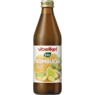 Kombucha Limette Ingwer