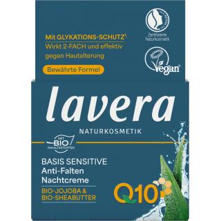 basis Anti Falten Nachtcreme Q10
