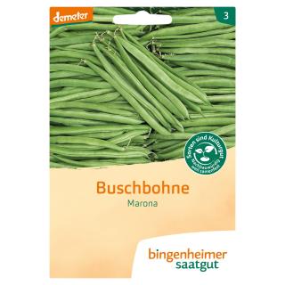 Buschbohnen Marona