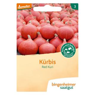 Kürbis Hokkaido  - Red Kuri