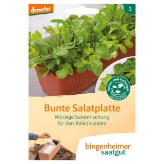 Salat Mischung - Bunte Salatplatte