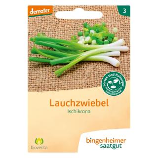 Lauchzwiebel Ischikrona