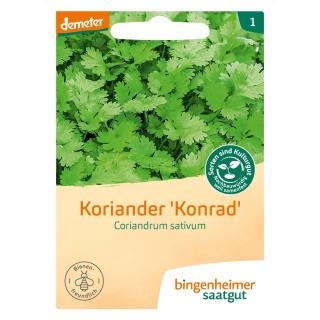 Koriander