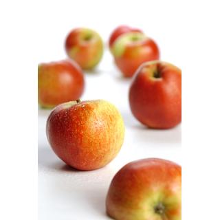 Kinderapfel - kleine Größe