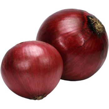 Zwiebeln rot frisch - Neue Ernte