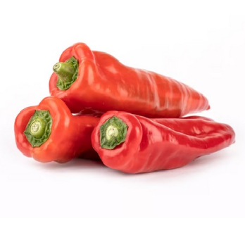 Spitzpaprika rot