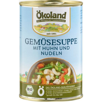 Gemüsesuppe mit Huhn und Nudeln