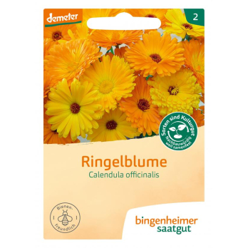 Ringelblume / Calendula