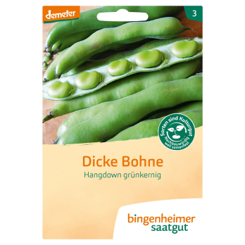 Dicke Bohne Hangdown