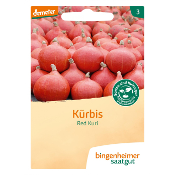 Kürbis Hokkaido  - Red Kuri