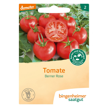 Fleischtomate Berner Rose