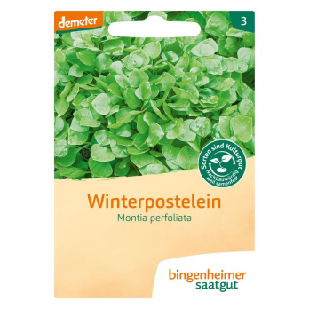 Postelein, Winterpostelein
