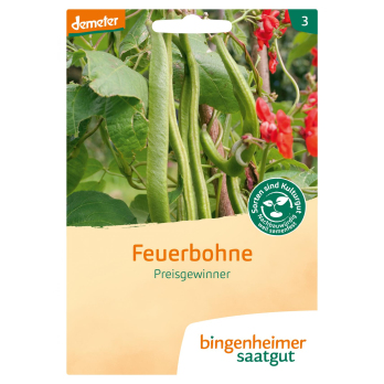 Bohne, Feuerbohne