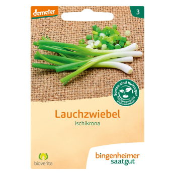 Lauchzwiebel Ischikrona