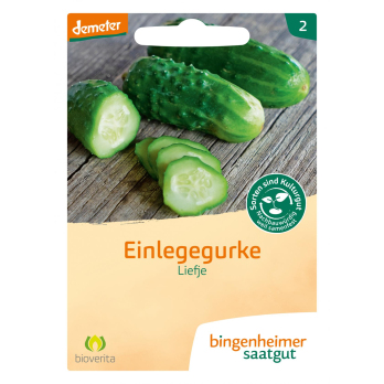 Einlegegurke Liefje