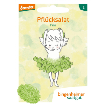 Pflücksalat Piro