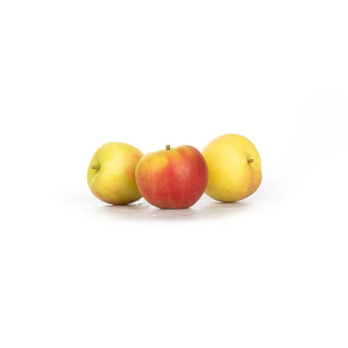 Apfel Sansa - Neue Ernte