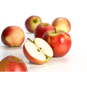 Apfel Elstar - süß-säuerlich