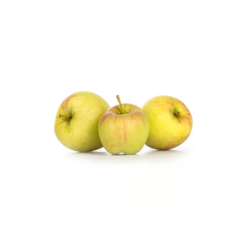 Apfel Delbar