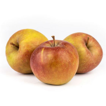 Apfel Boskoop - säuerlich