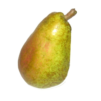 Birne Köstliche von Charneux