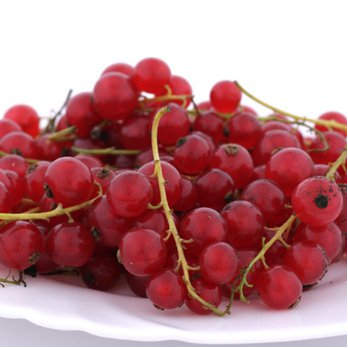 Johannisbeeren